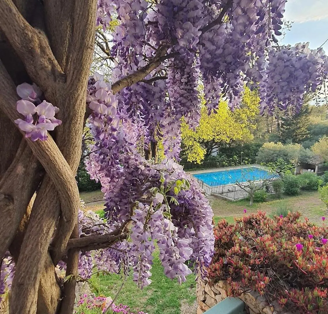 Cocon De Provence Apartment Le Cannet-des-Maures France